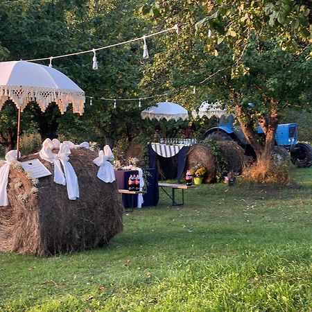 Guest House Zirga Smaids Kušneri Екстериор снимка